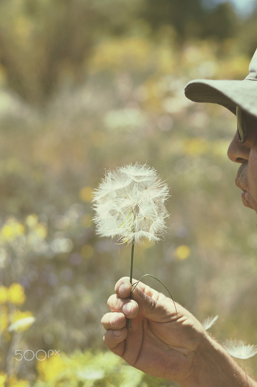 Nikon D3200 + Nikon AF-S Nikkor 50mm F1.4G sample photo. Blowing a dandelion photography