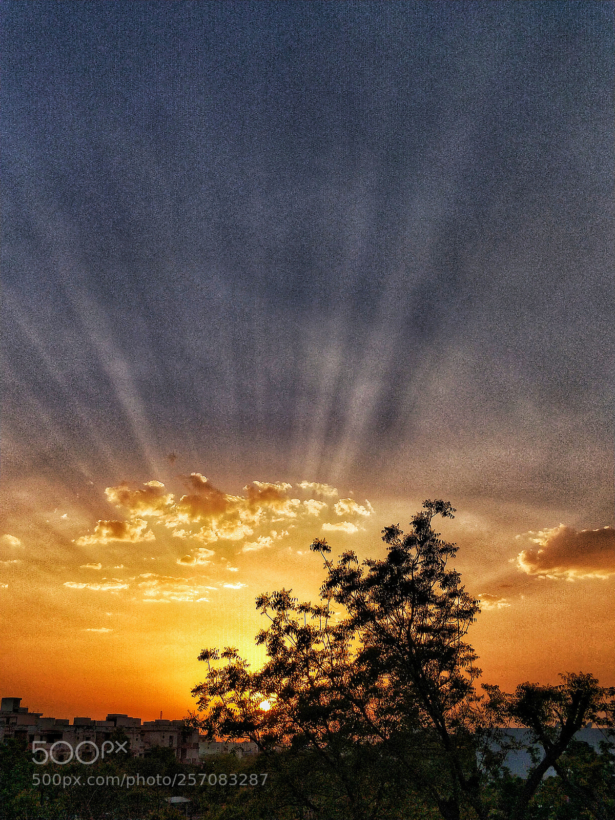 OnePlus 5 sample photo. Untitled photography