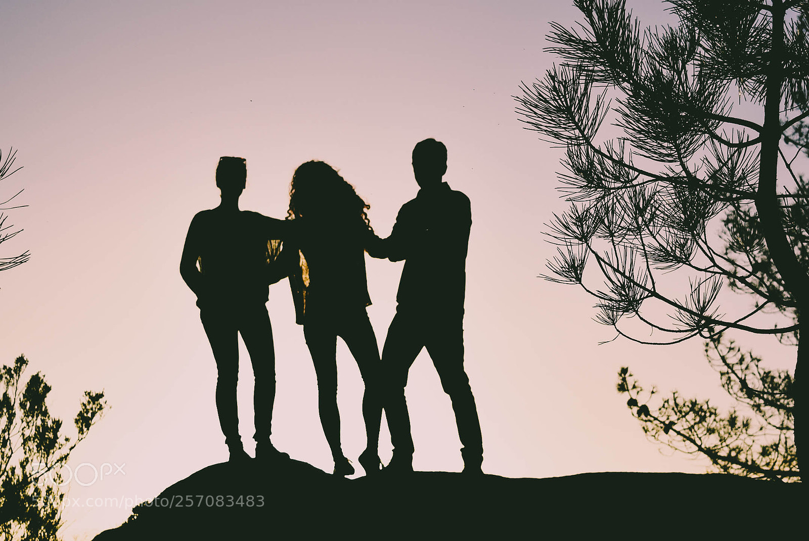 Nikon D5300 sample photo. Silhouette photography