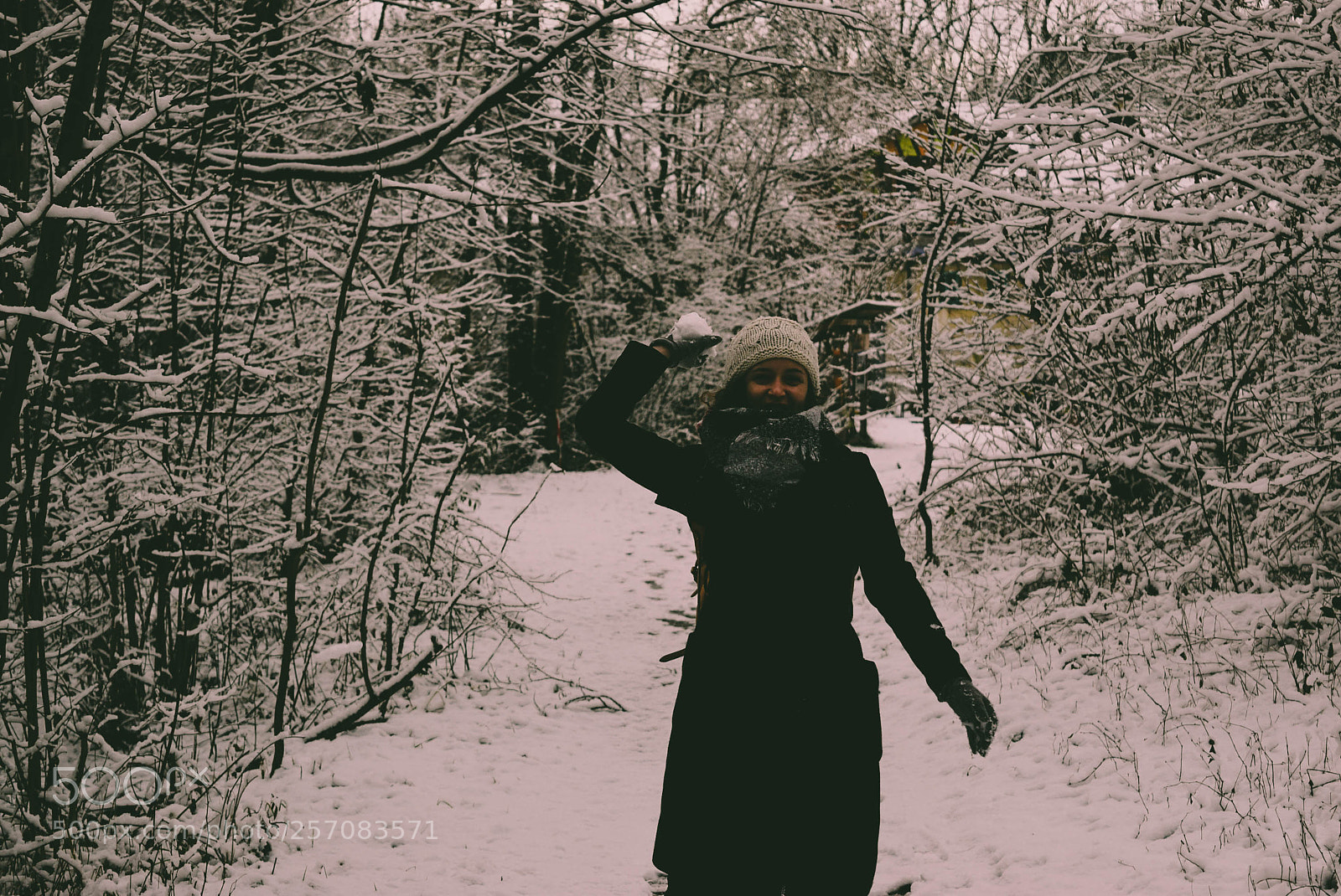 Nikon D5300 sample photo. Snow ball photography