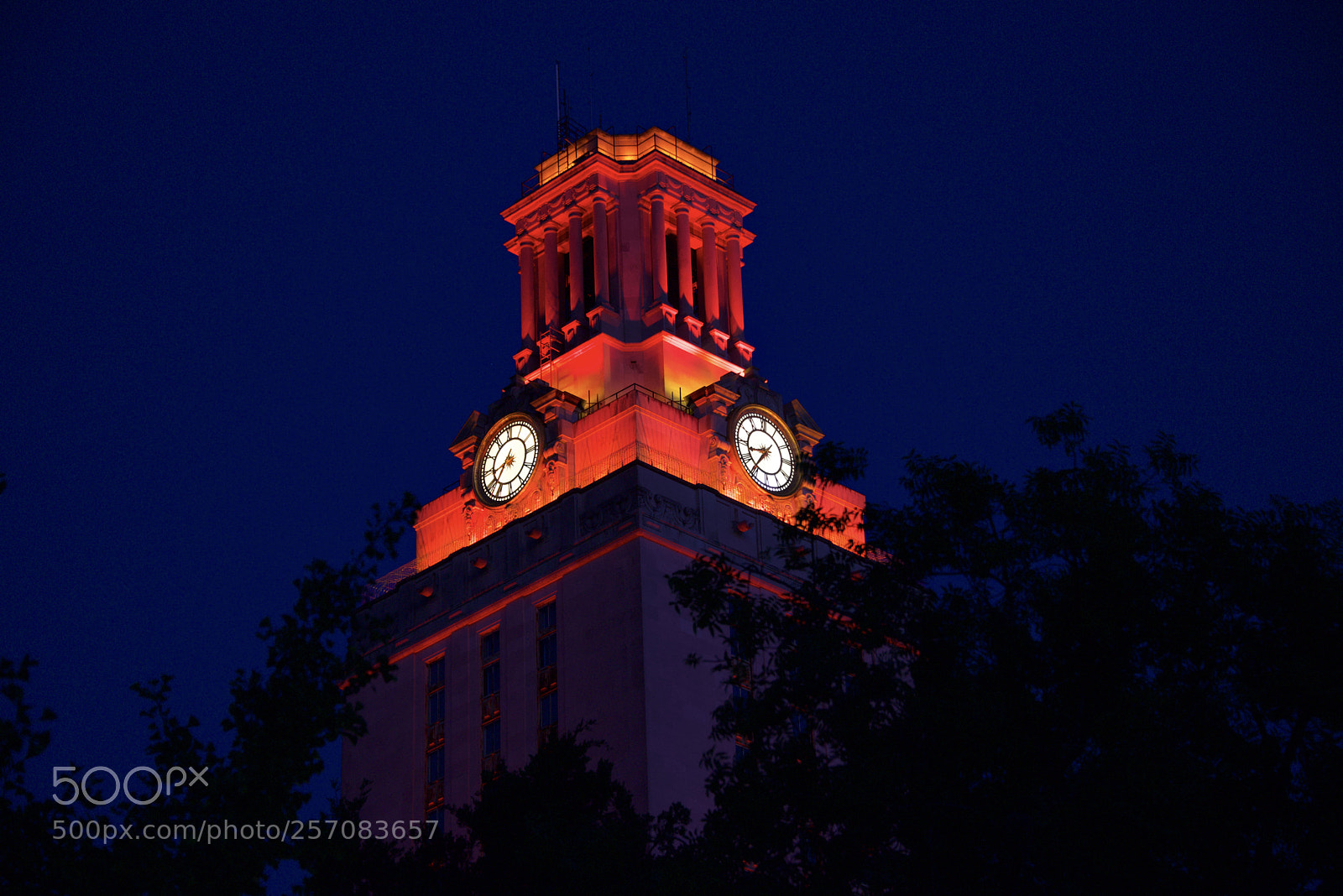 Nikon D750 sample photo. Ut tower photography