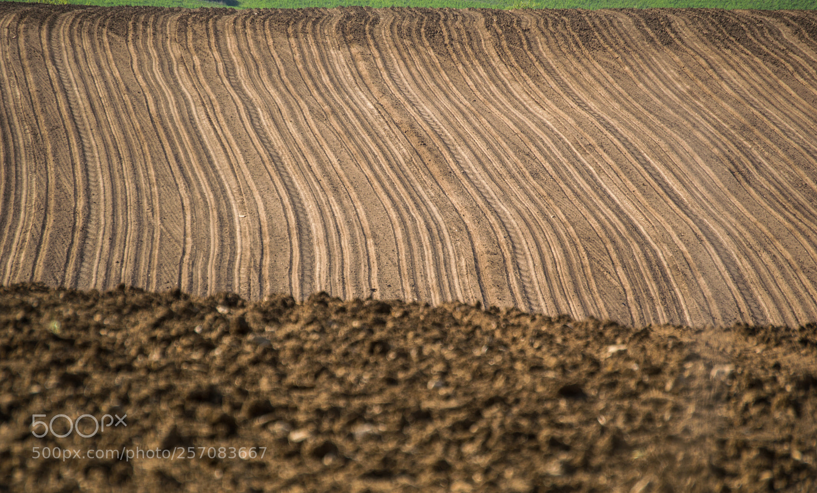 Nikon D3200 sample photo. Field photography