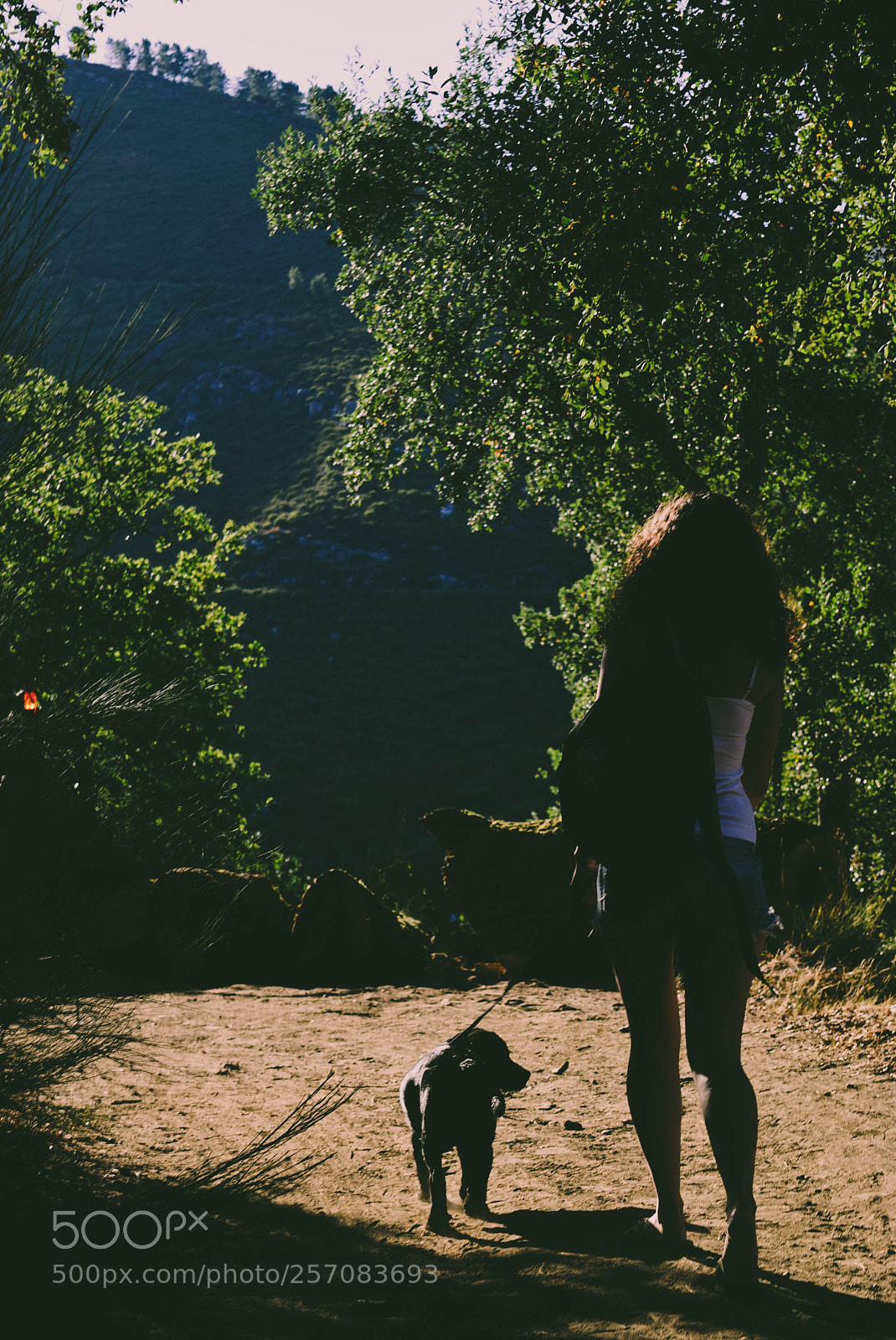 Nikon D5300 sample photo. Hike photography