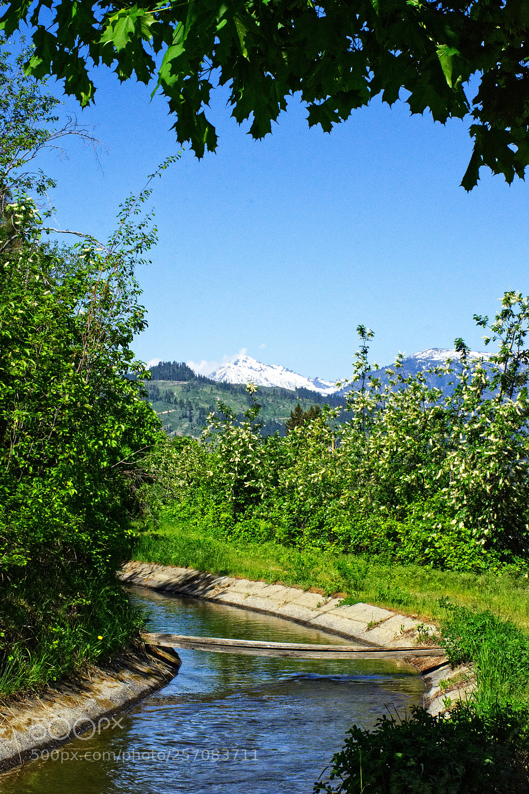 Nikon D7200 sample photo. Springtime along the canal photography