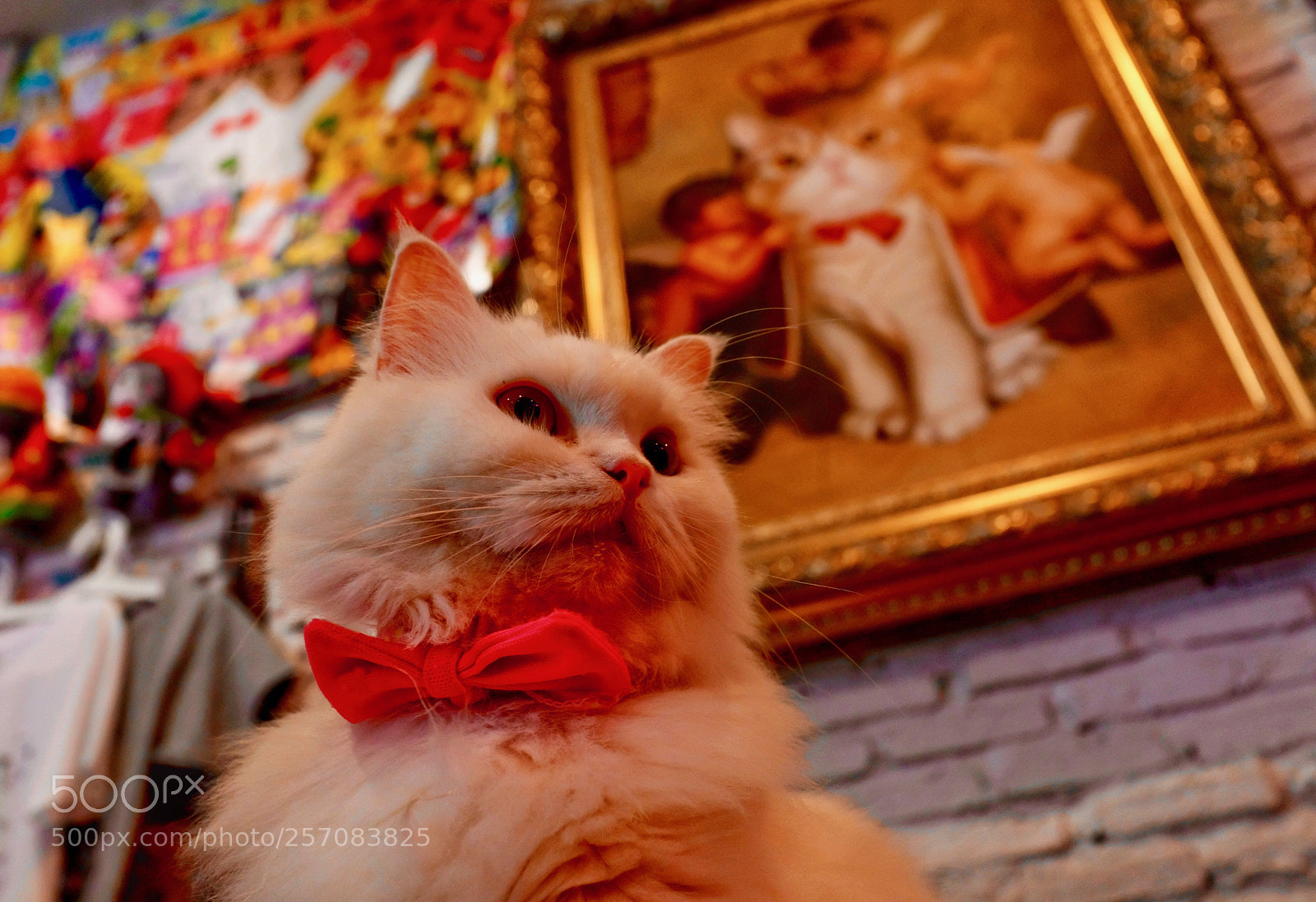 Fujifilm X100F sample photo. Untitled photography