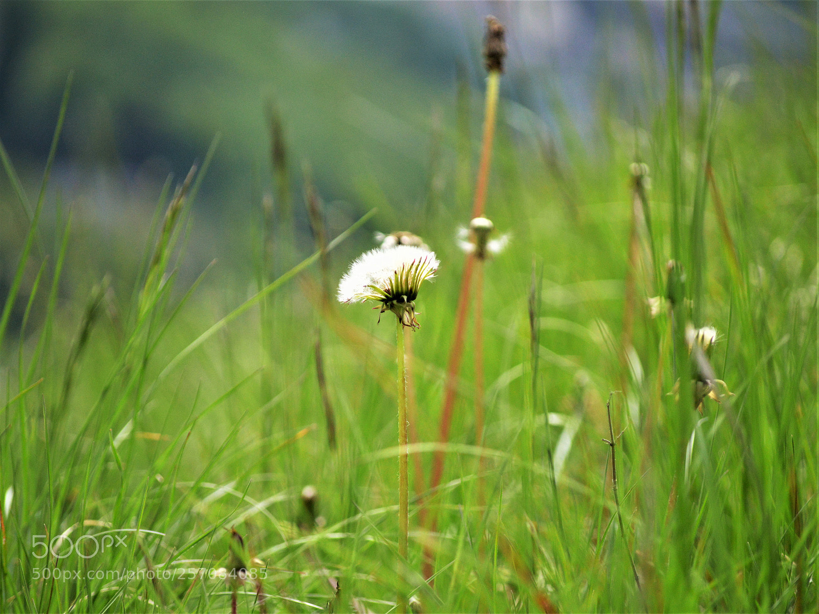 Nikon D3200 sample photo. Untitled photography