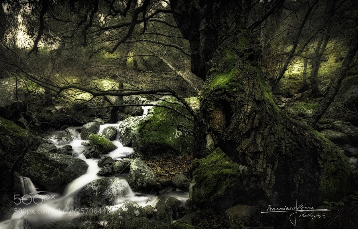 Pentax K-5 sample photo. Secrets of the south photography