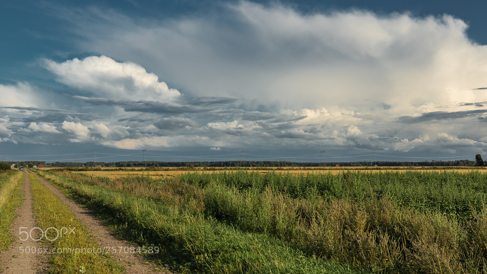 Canon EOS 6D sample photo. Untitled photography
