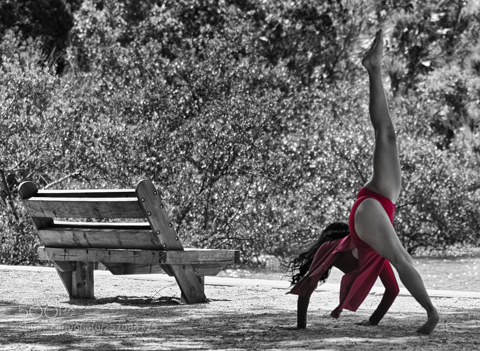 Nikon D810 sample photo. Dancers in the park photography