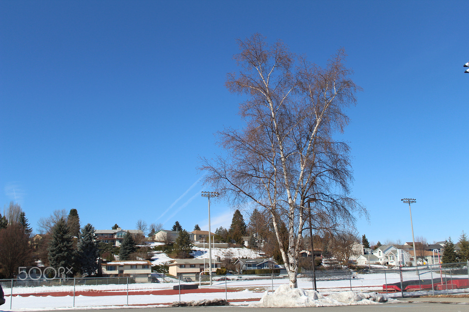 Canon EOS 1300D (EOS Rebel T6 / EOS Kiss X80) sample photo. Photo critique project photography