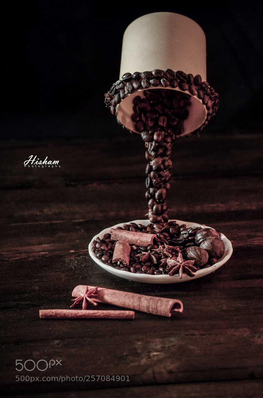 Nikon D5100 sample photo. Untitled photography