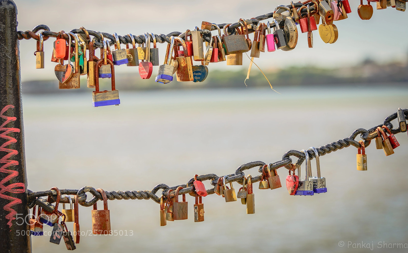 Nikon D610 sample photo. Hopes photography