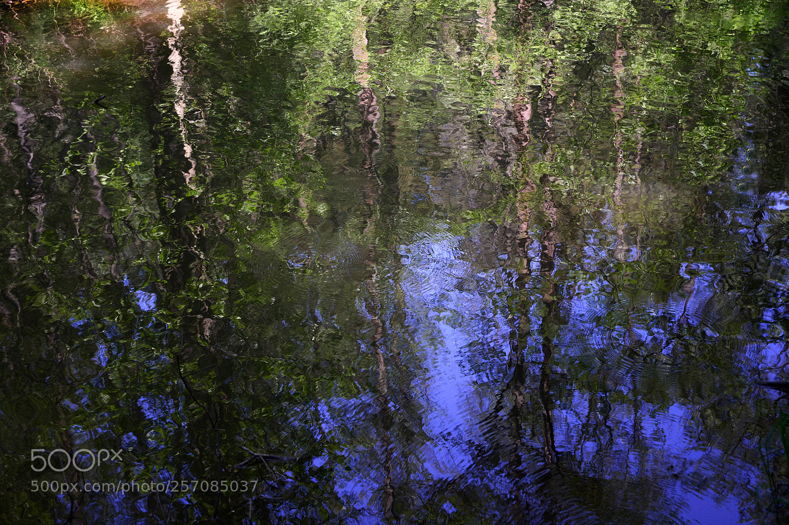Nikon D7100 sample photo. Impression photography