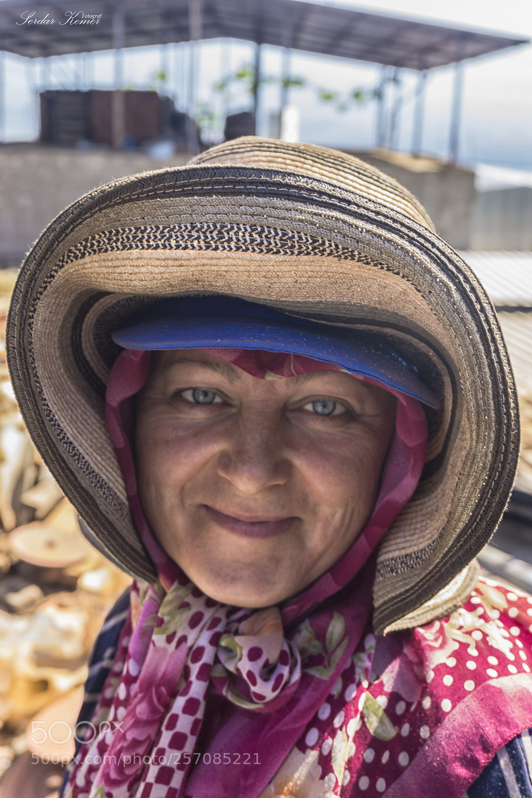 Sony a6000 sample photo. _dsc2316-1.jpg photography
