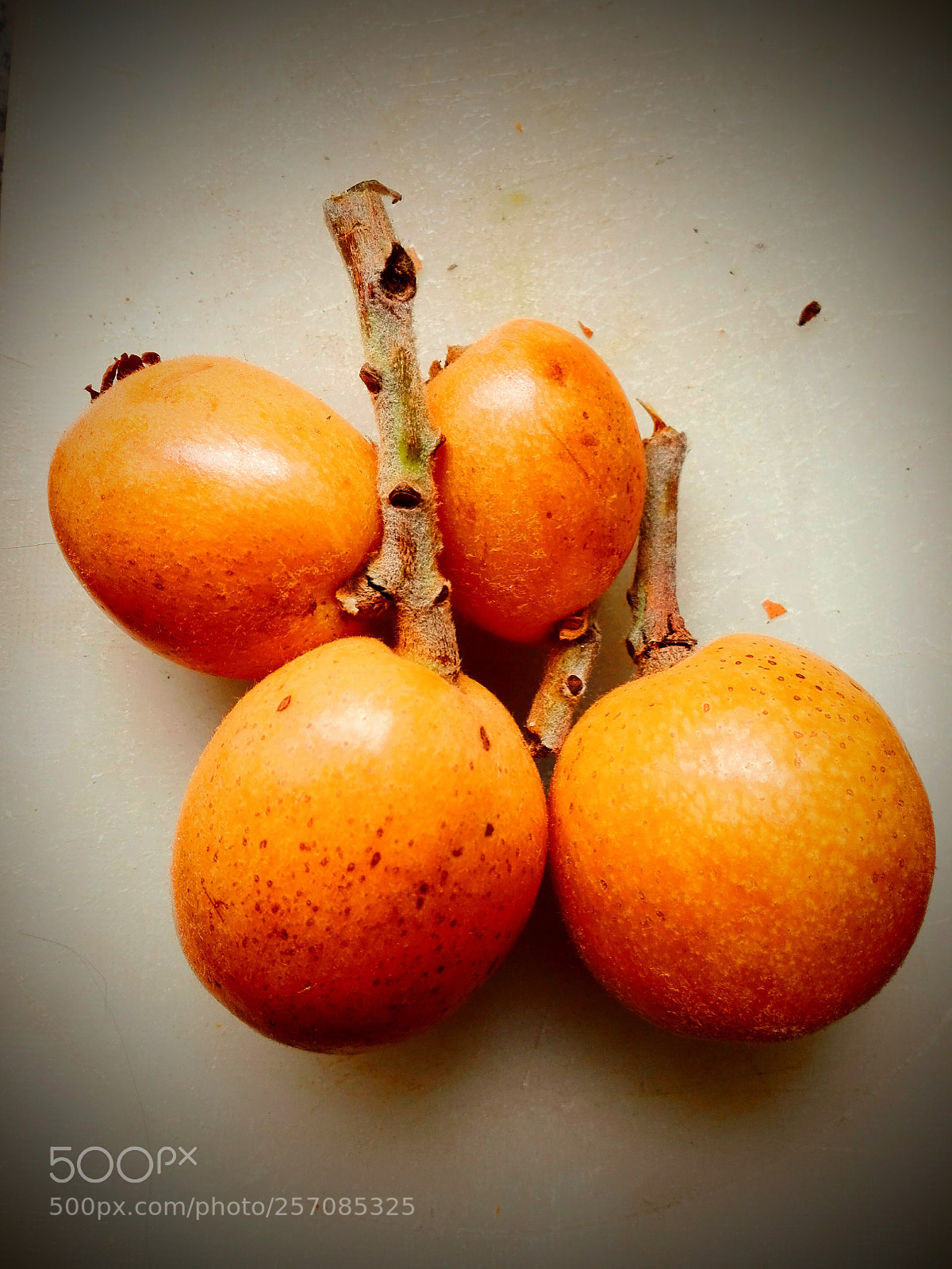 HUAWEI P8 Lite sample photo. Micacos (medlars) photography