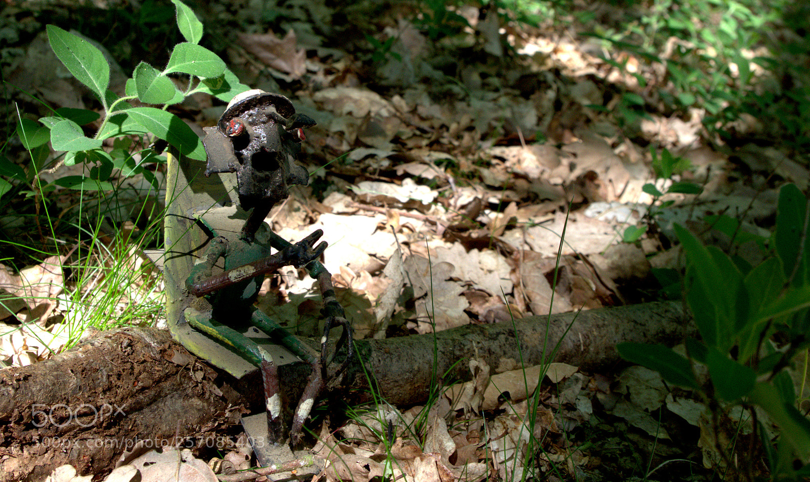 Pentax K-50 sample photo. The little people of photography