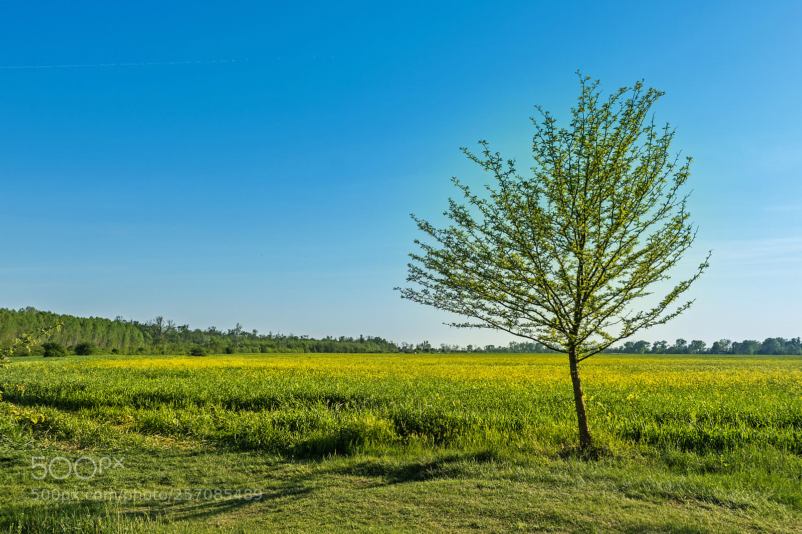 Canon EOS 750D (EOS Rebel T6i / EOS Kiss X8i) sample photo. Season colours photography
