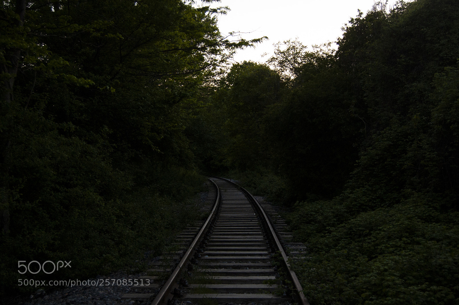 Nikon D50 sample photo. Hidden rails photography