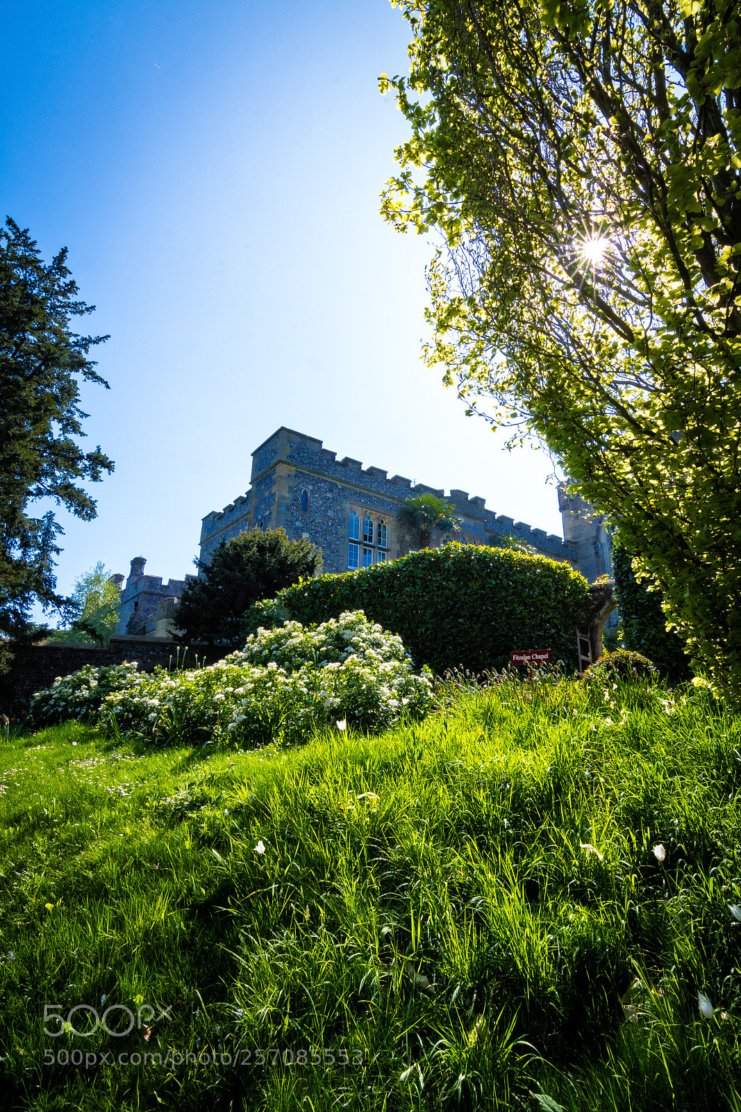Nikon D500 sample photo. Arundel castle flower garden photography