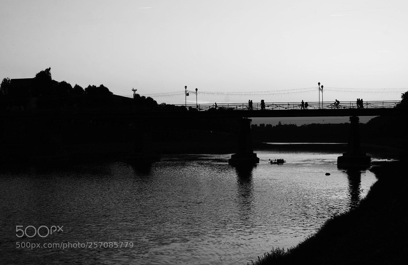 Nikon D7000 sample photo. Bridge photography