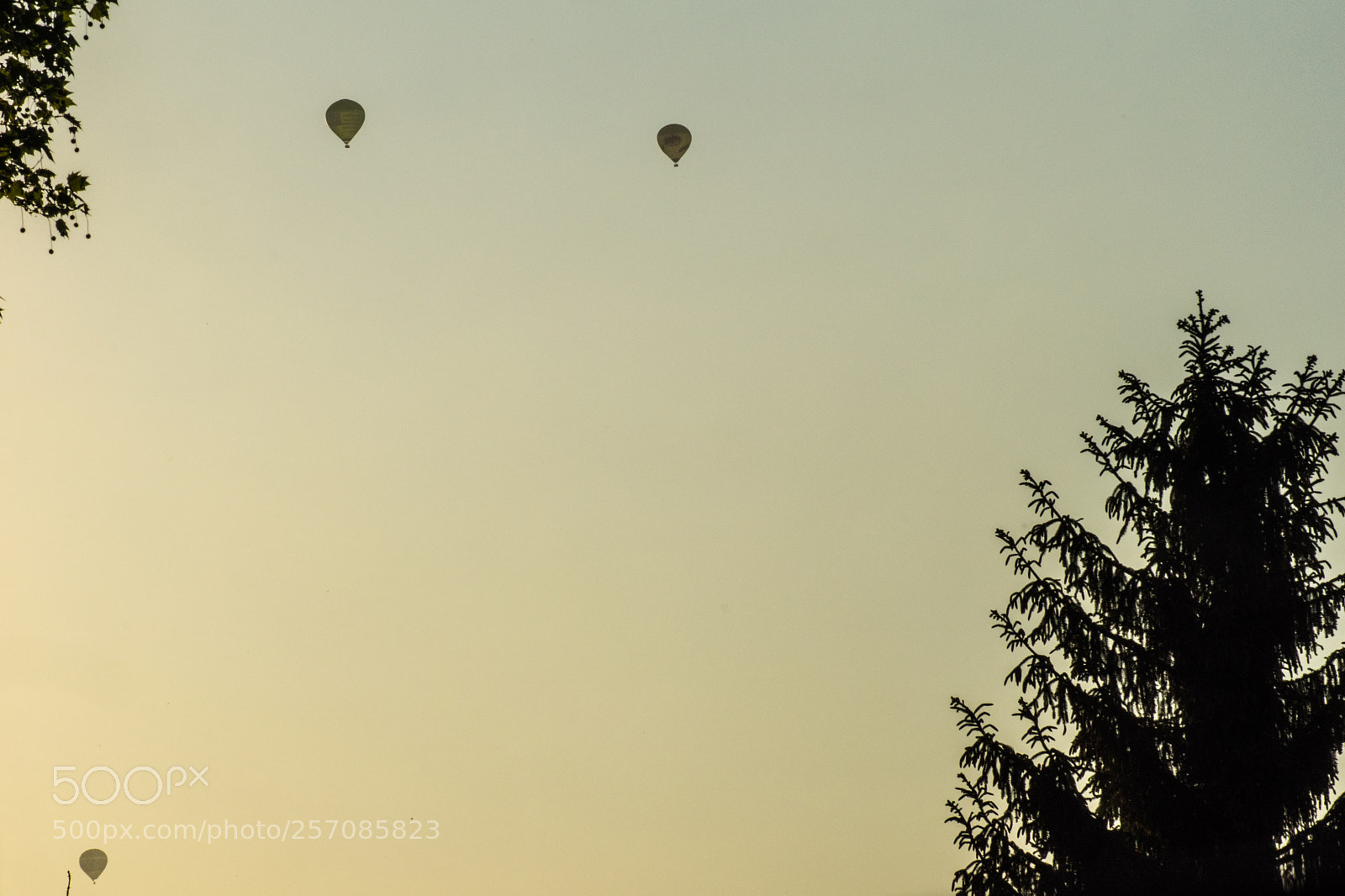 Sony SLT-A68 sample photo. Heißluftballongs photography