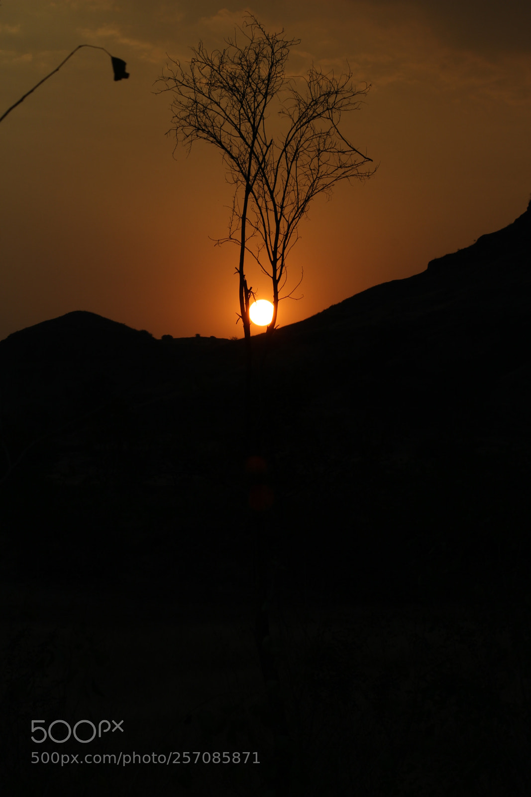 Canon EF-S 55-250mm F4-5.6 IS II sample photo. Untitled photography