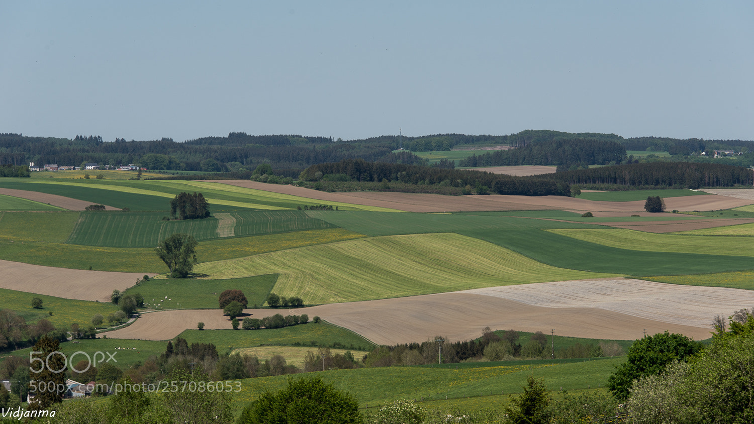 Nikon D610 sample photo. Notre ardenne photography