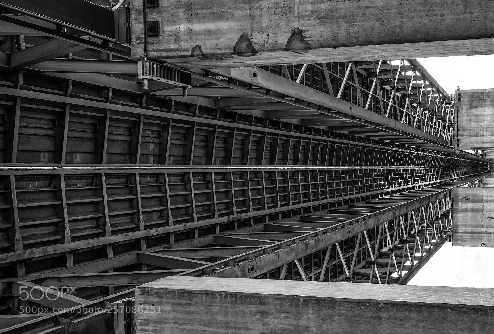 Nikon D750 sample photo. Steel 12 photography