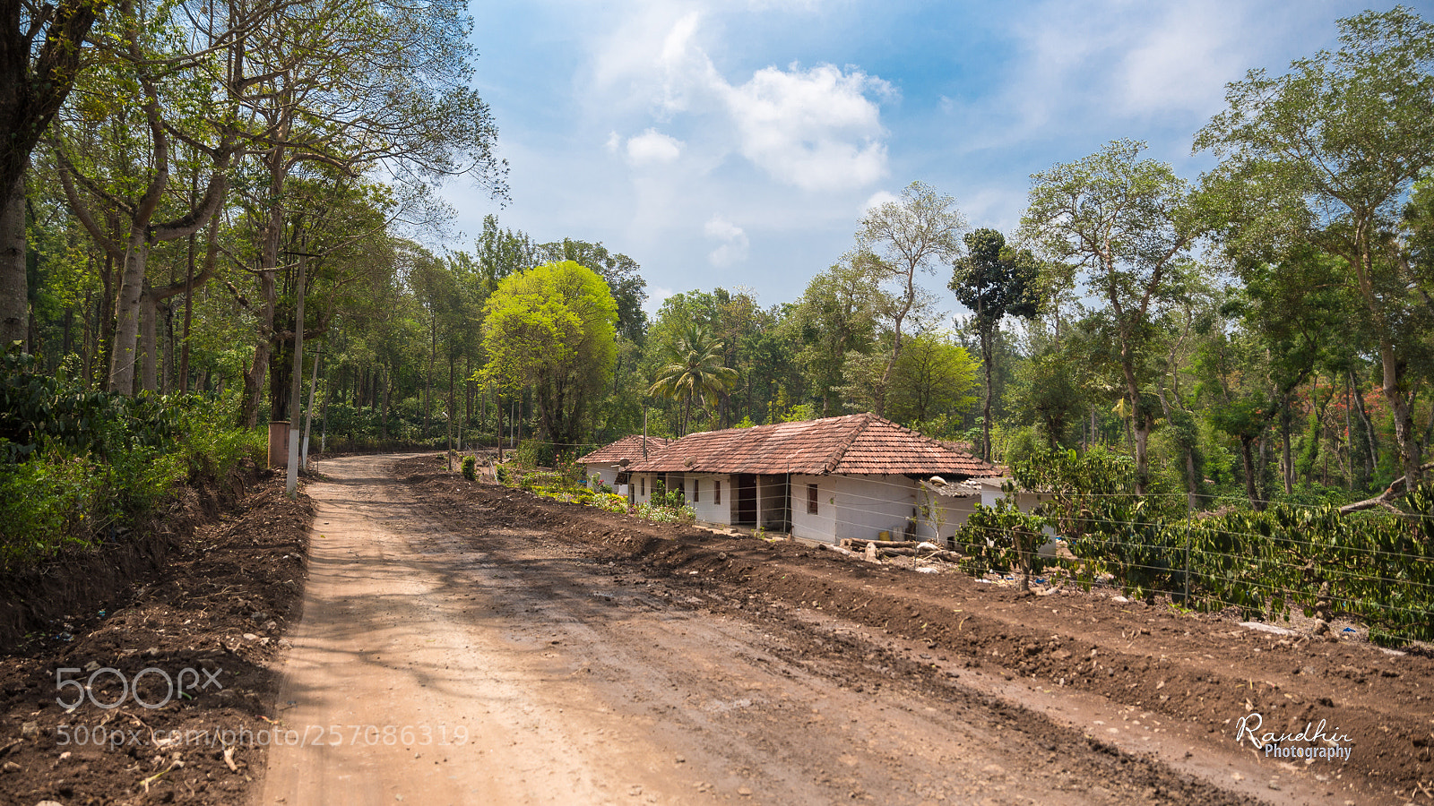 Nikon D750 sample photo. Nature beauty. photography