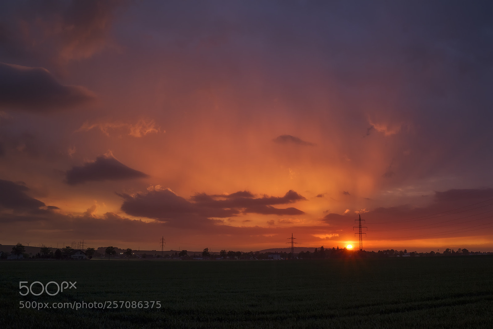 Nikon D810 sample photo. Soft rainy may evening photography