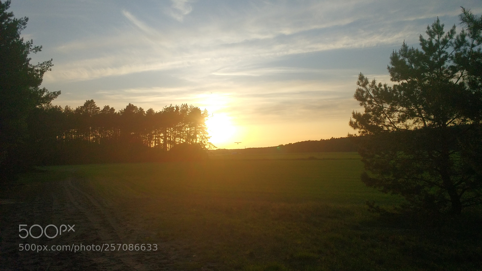 Motorola MotoG3 sample photo. L dowanie motolotni photography