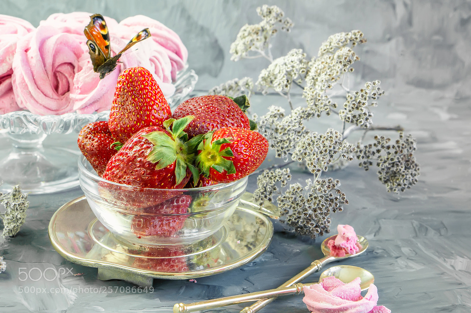Sony Alpha NEX-6 sample photo. Ripe red strawberry in photography