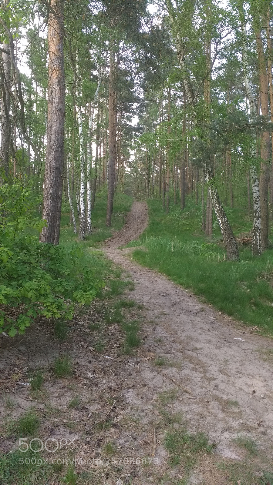 Motorola MotoG3 sample photo. Minipodbieg photography