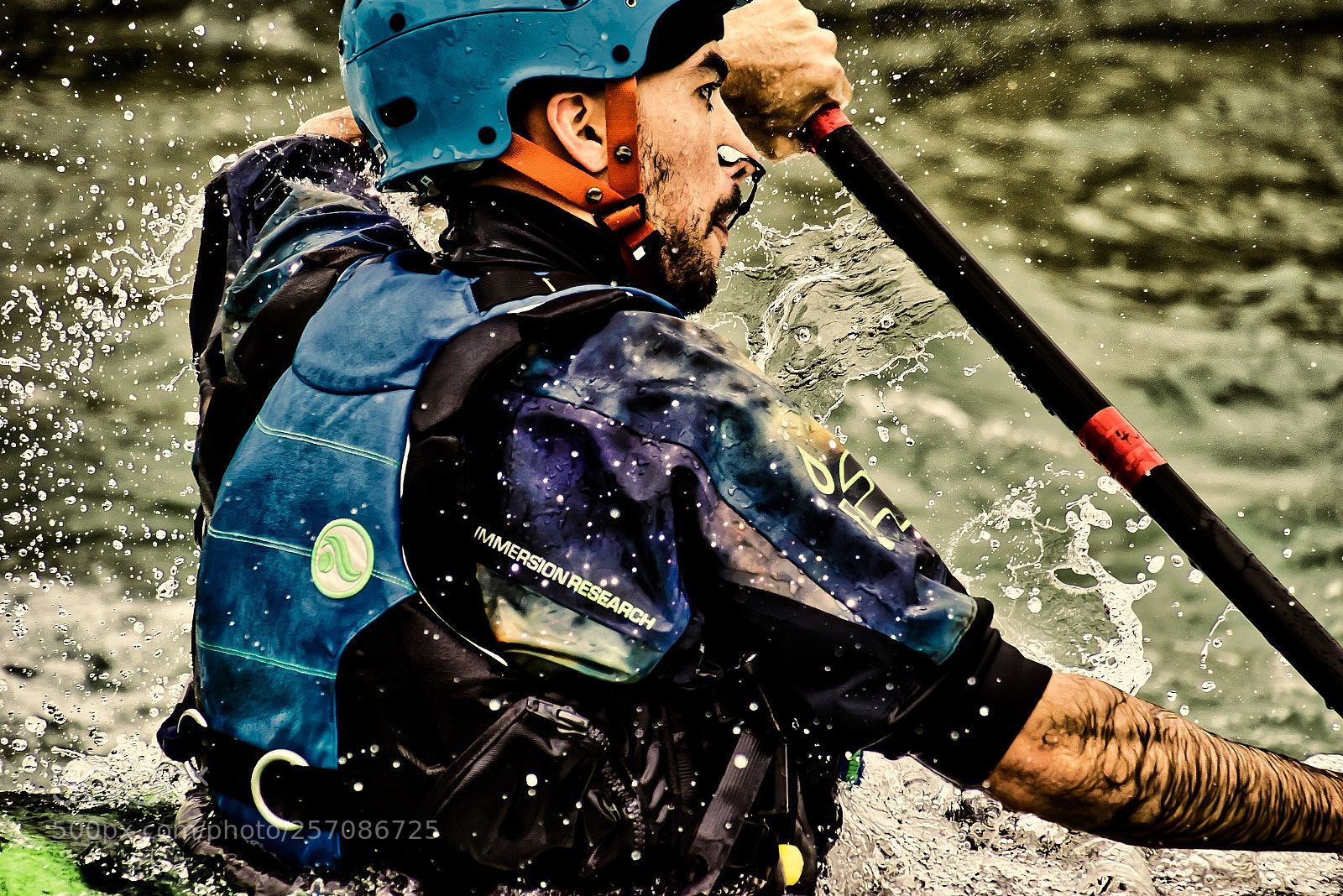 Nikon D5500 sample photo. In motion photography