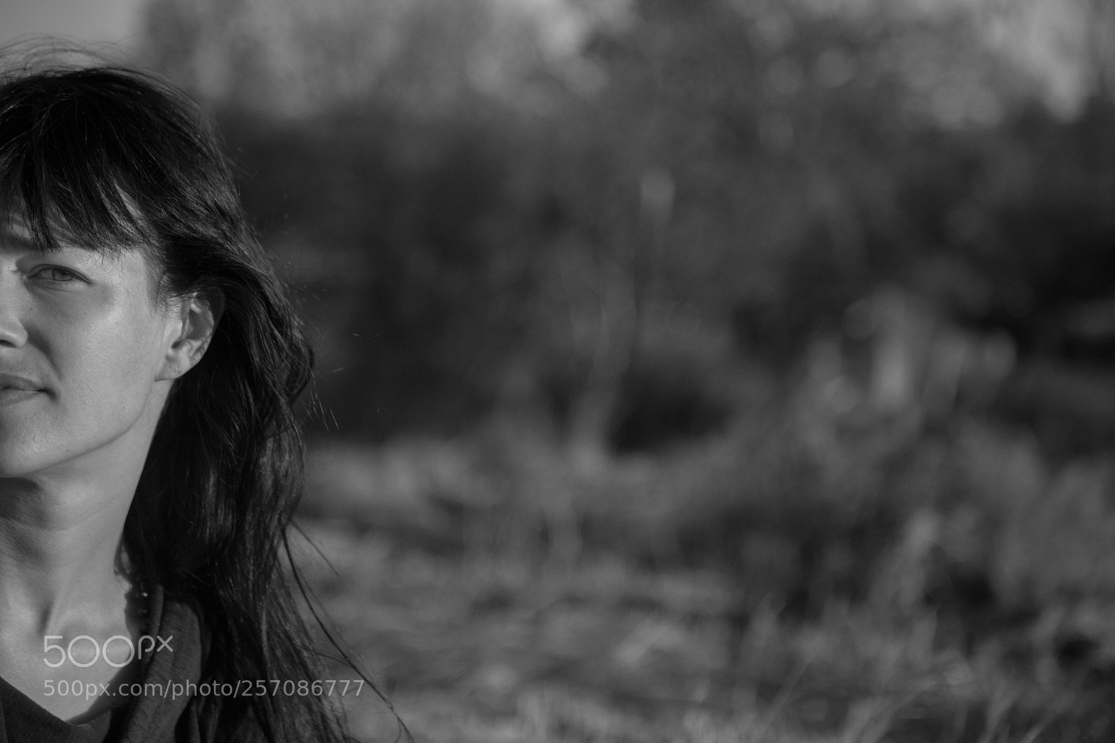 Canon EOS 5D Mark II sample photo. Ostr photography
