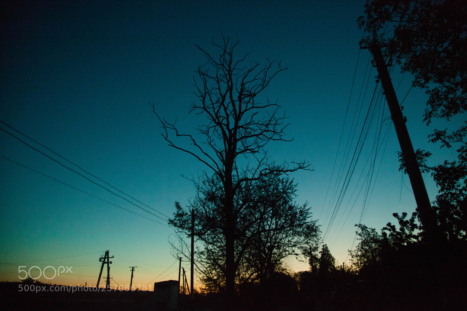Canon EOS 5D Mark II sample photo. Ostr photography
