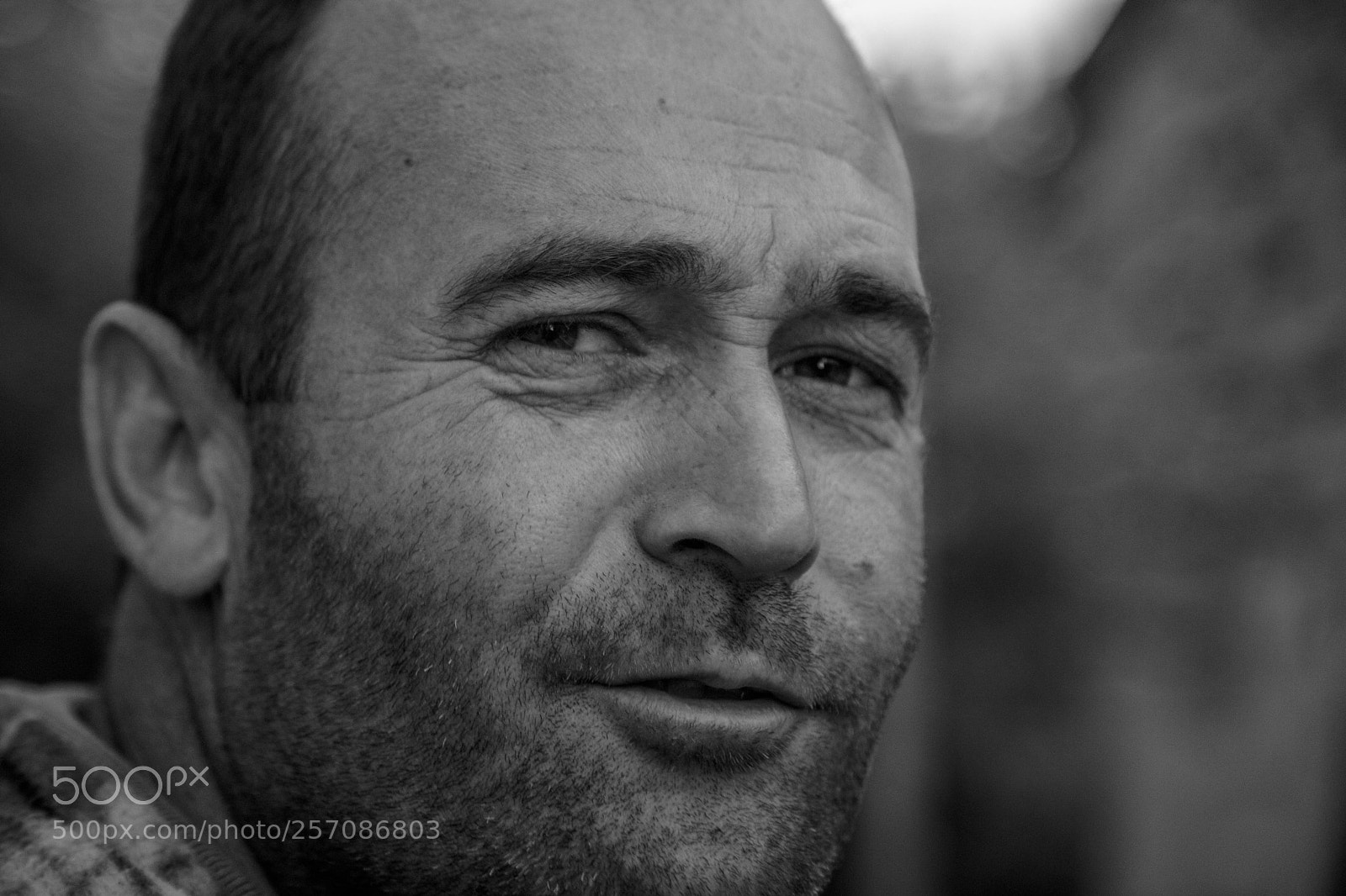 Canon EOS 5D Mark II sample photo. Ostr photography