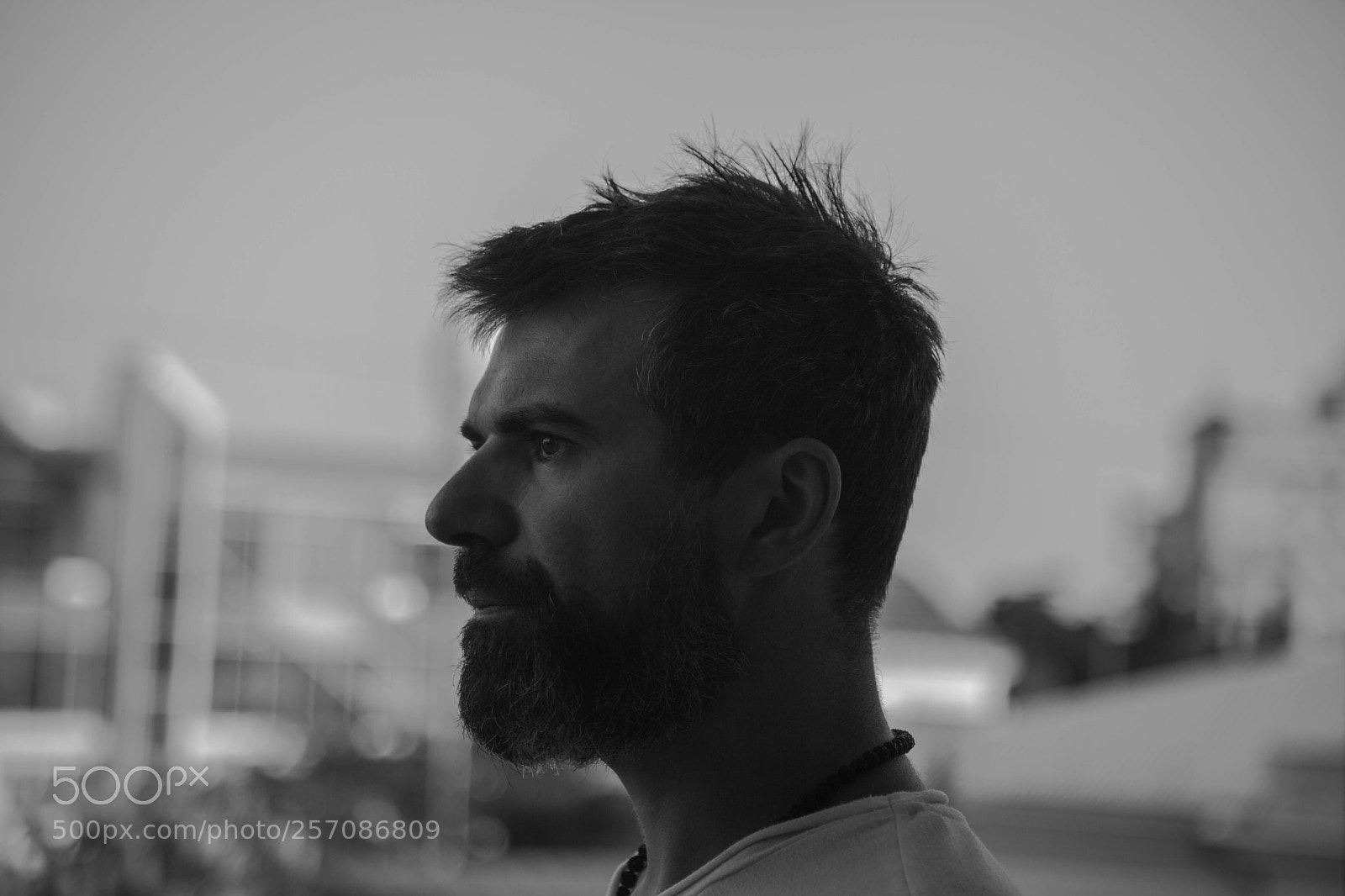 Canon EOS 5D Mark II sample photo. Ostr photography
