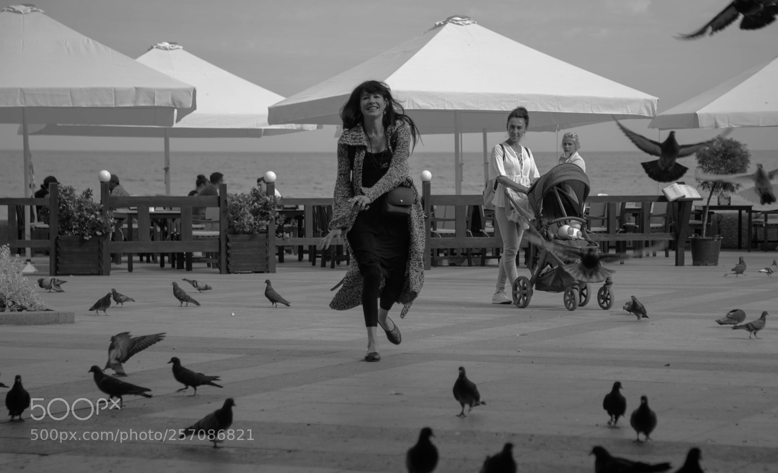 Canon EOS 5D Mark II sample photo. Ostr photography