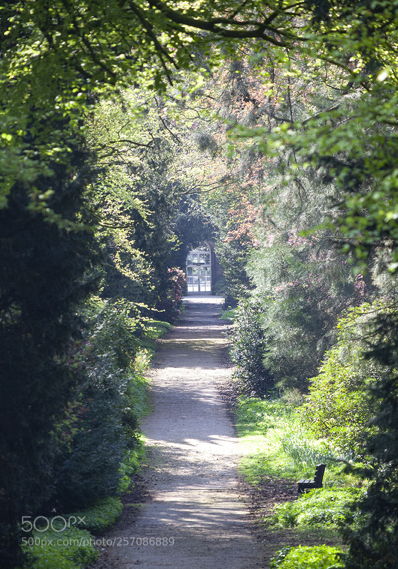 Canon EOS 5D Mark II sample photo. Down the garden path photography
