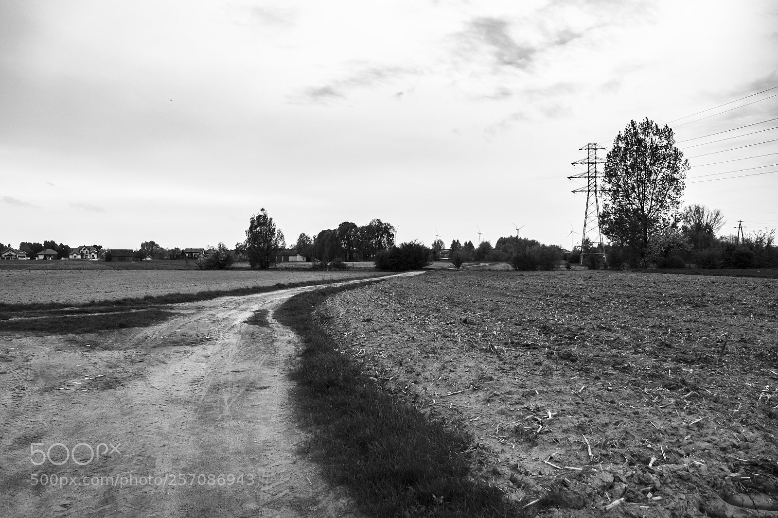 Panasonic Lumix DMC-GH4 sample photo. The road photography