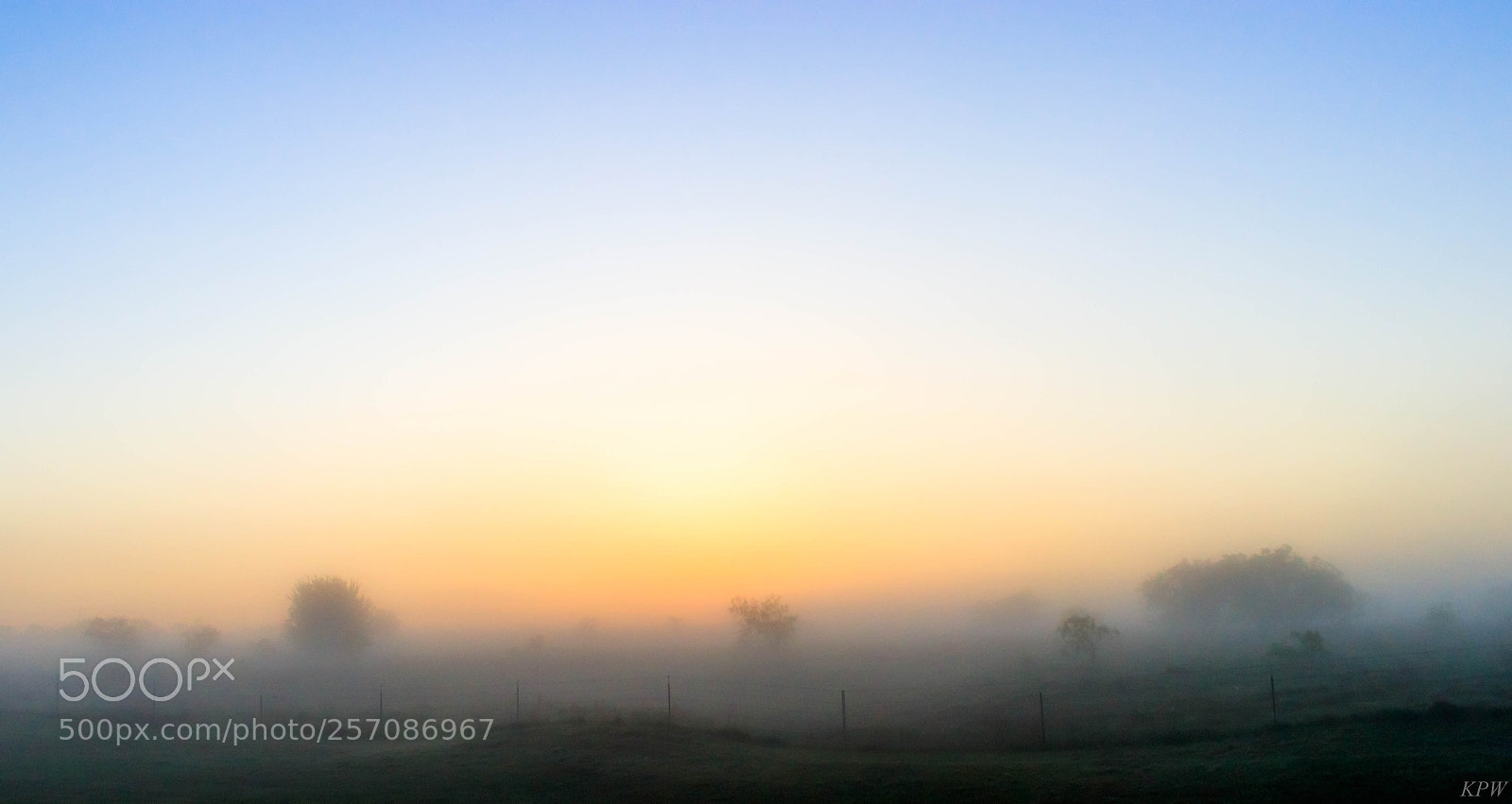 Canon EOS 80D sample photo. Texas fog photography