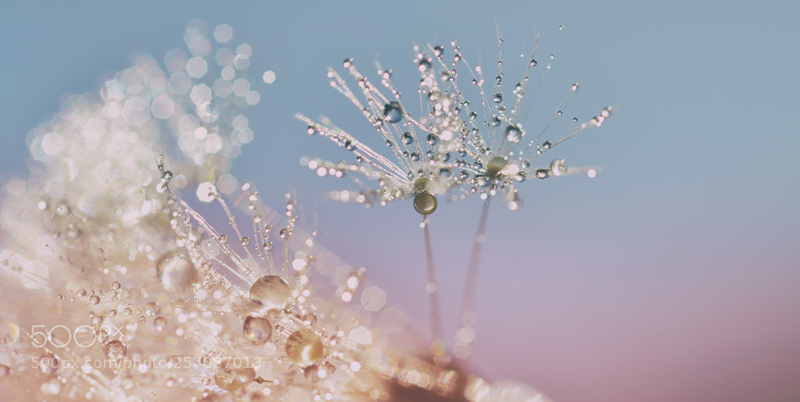 Nikon D800 sample photo. Tranquility photography