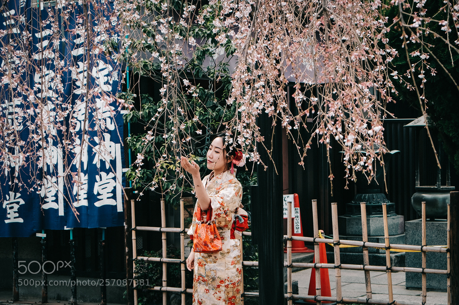 Fujifilm X-T2 sample photo. Rain of flowers photography