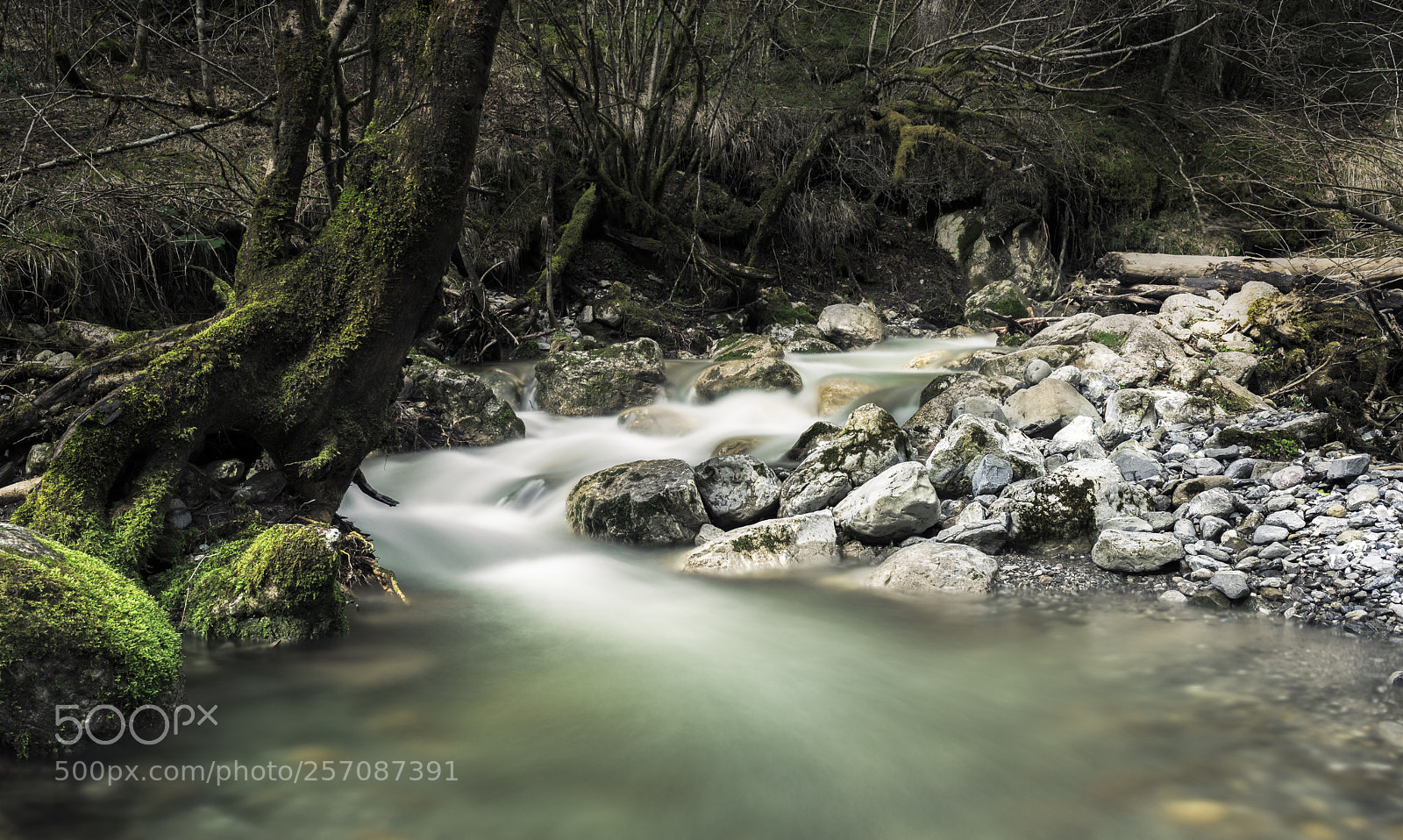 Nikon D750 sample photo. Annecy  photography