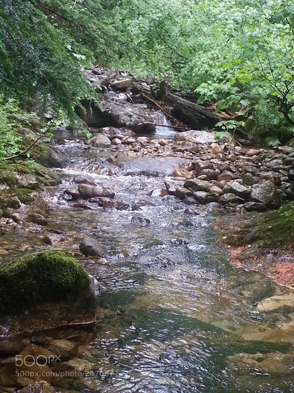 Samsung Galaxy S3 sample photo. Priest photography