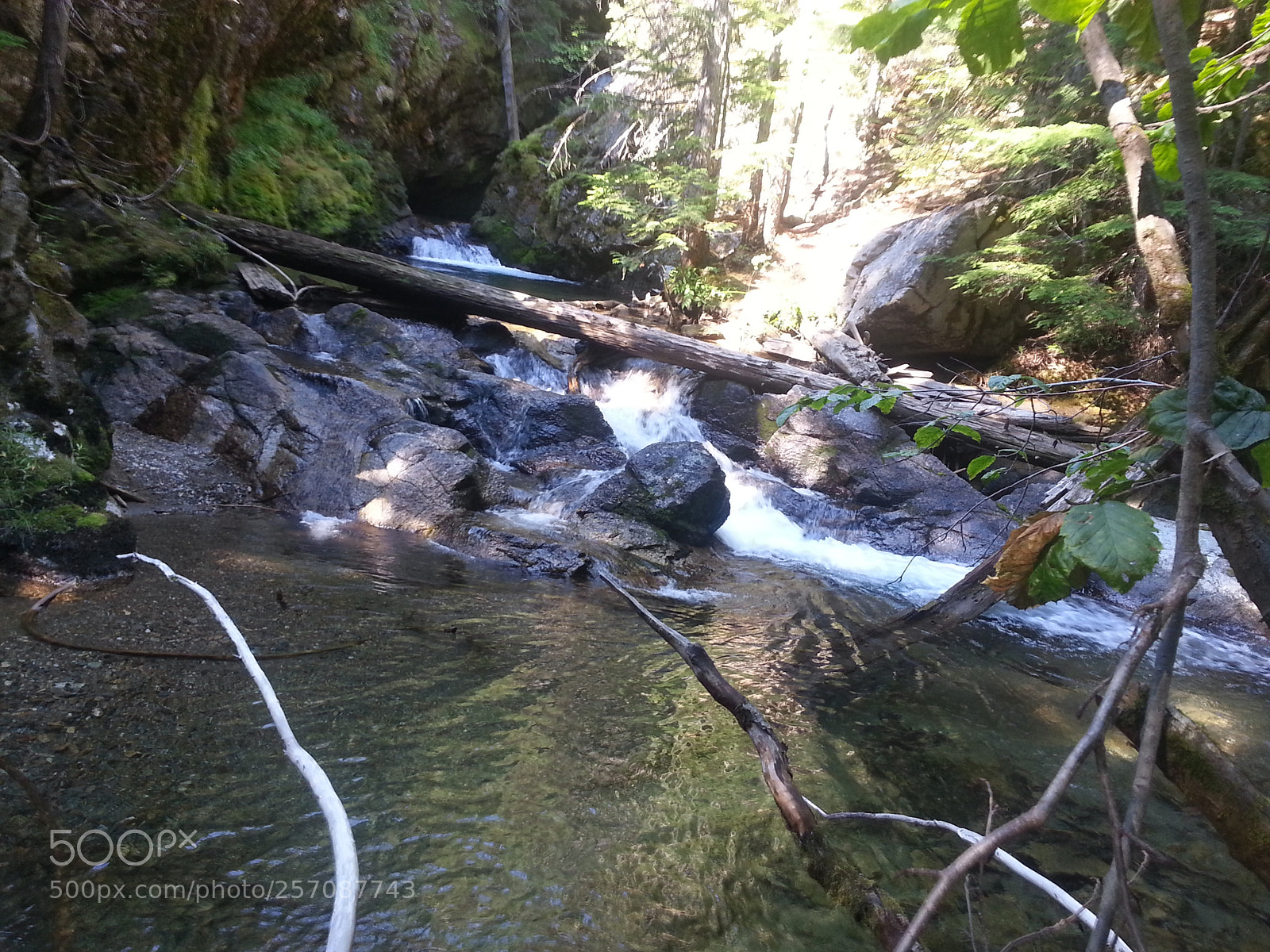 Samsung Galaxy S3 sample photo. Priest photography