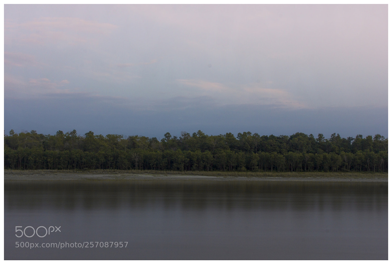 Canon EOS 550D (EOS Rebel T2i / EOS Kiss X4) sample photo. Nature at the simplest photography