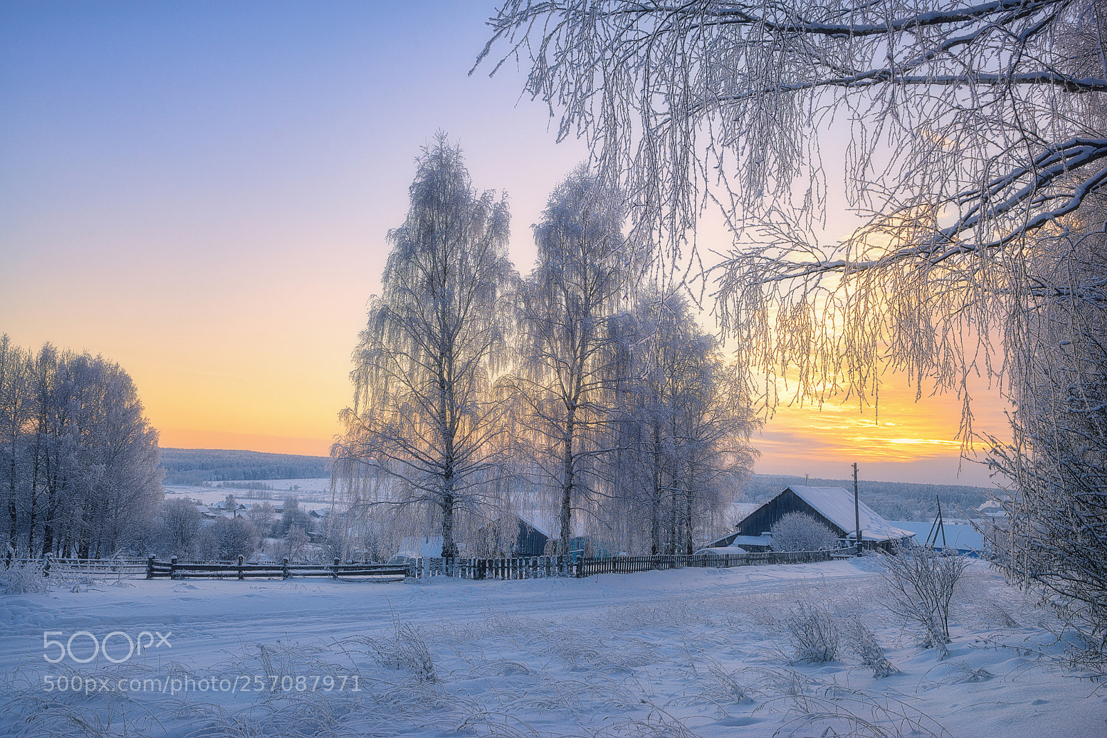 Nikon D610 sample photo. 917. winter in the photography