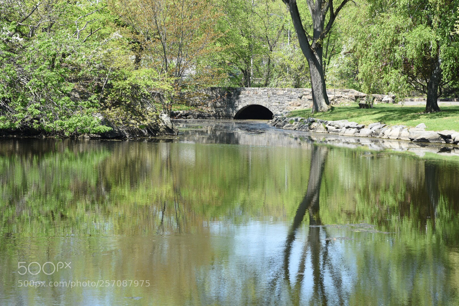 Nikon D750 sample photo. Reflections in a park photography